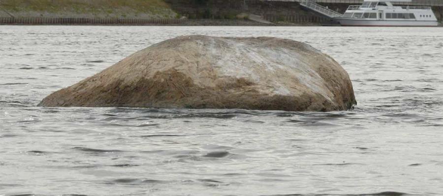 Sequía en Europa deja al descubierto las “piedras del hambre” en el río Rin