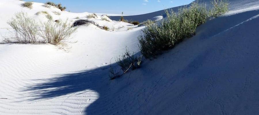 Hermanos oaxaqueños son abandonados por “coyote” en desierto de Arizona; mueren abrazados