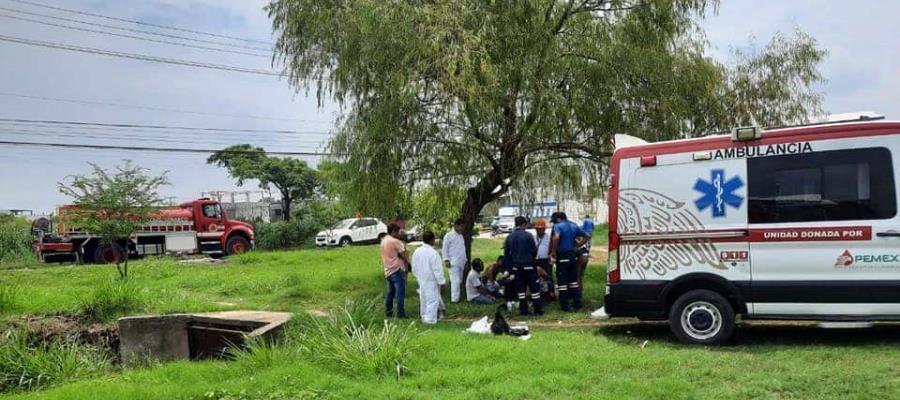 Abejas atacan a 3 personas en la colonia Miguel Hidalgo