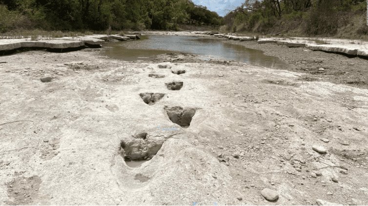 Descubren huellas de dinosaurio tras sequía en parque de Estados Unidos