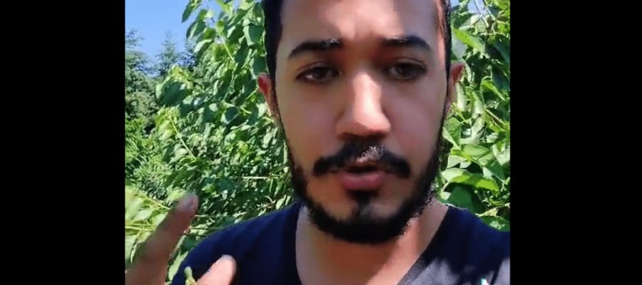 Video de mexicano se hace viral, al asegurar que gana 3 mil pesos diarios en la cosecha de cerezas en Canadá