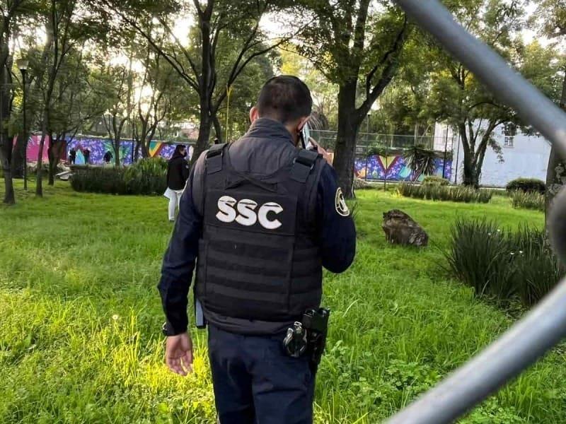 Hallan a mujer colgada de un árbol en Parque de CDMX