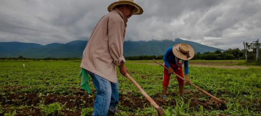 Pide Congreso Agrario incrementar presupuesto al campo en 2023