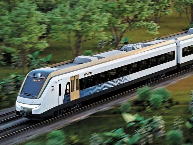 Tren Maya será amigable con el ambiente: May