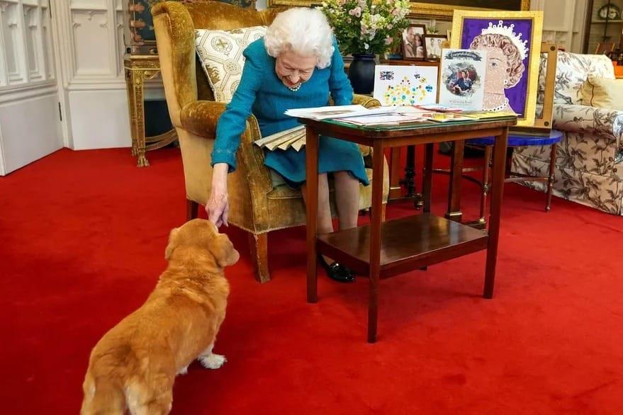 Los corgis reales: La raza de perros favorita de la Reina Isabel II