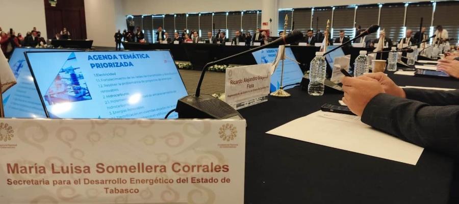 Buscarán gobiernos estatales resolver problemas de electrificación en el país