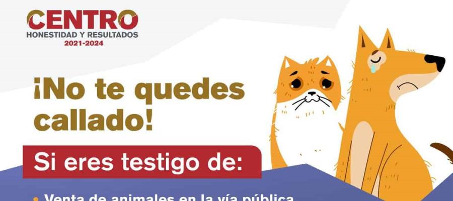 Abre Centro línea de denuncias de casos de maltrato animal y venta de cachorros