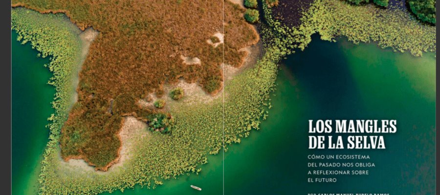 Urge investigador de la UJAT, declaratoria de Área Natural Protegida zona de manglares en limítrofes de Balancán y Tenosique