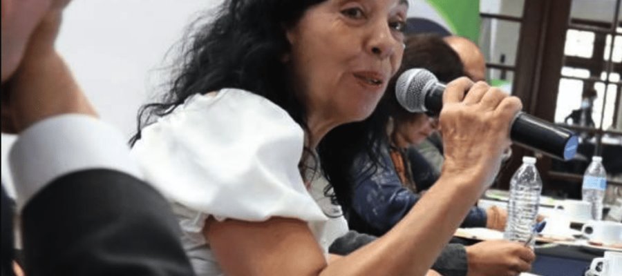 Directora del DIF Nacional ha sufrido amenazas por combate contra la corrupción, revela AMLO Directora del DIF Nacional ha sufrido amenazas por combate contra la corrupción, revela AMLO