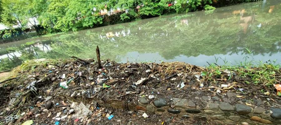 “Habilitan” basurero en las márgenes de la laguna de Las Ilusiones