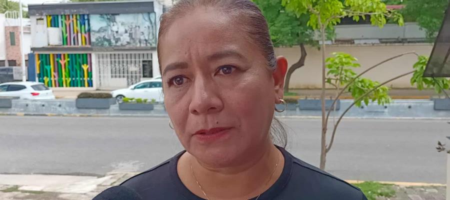 Militarizar el país es un error e incongruencia de Morena: Casilda Ruiz