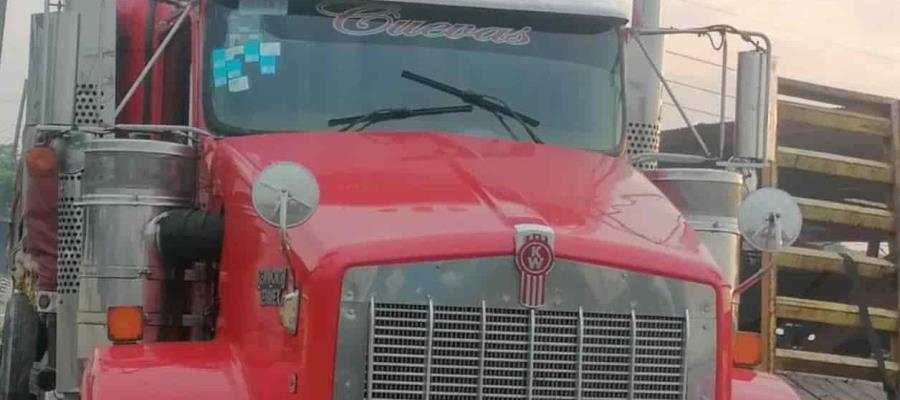 Tractocamión intenta huir de retén policial; transportaba madera ilegal