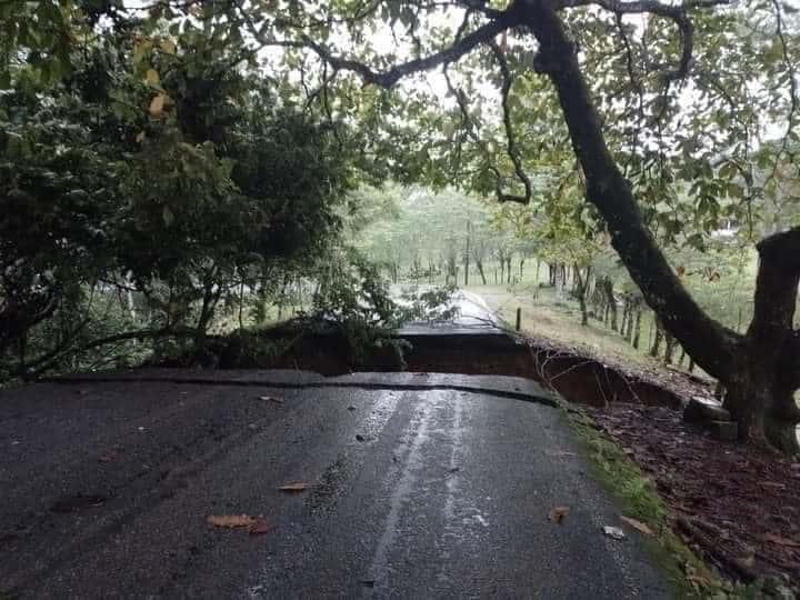 Colapsa tramo carretero en la vía Pichucalco-Juárez, en Chiapas 