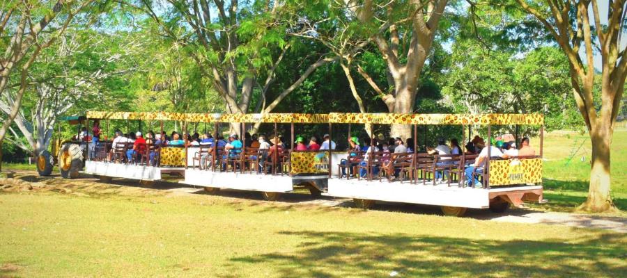 Recauda Yumká 12.9 mdp en lo que va del año