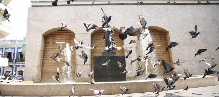 Ayuntamiento de Centro y UJAT realizarán Primer Festival de las Aves