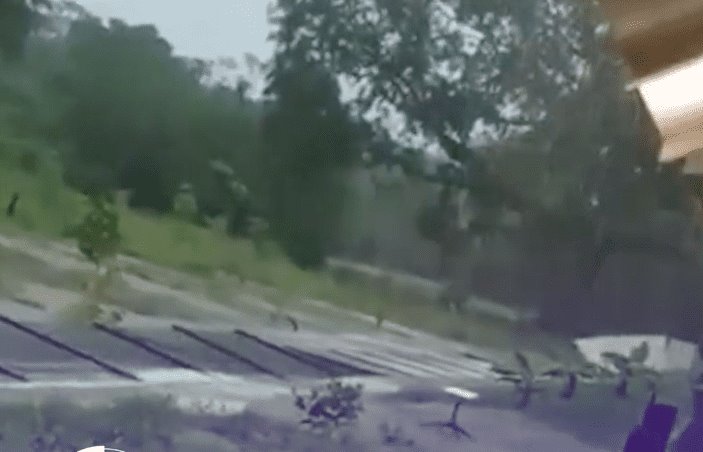 Colapsa barda de la Universidad para el Bienestar de Comalcalco