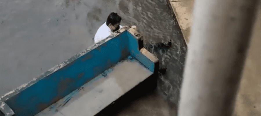 Exhiben nuevo caso de bullying, ahora en el CECyTE de Comalcalco Exhiben nuevo caso de bullying, ahora en el CECyTE de Comalcalco