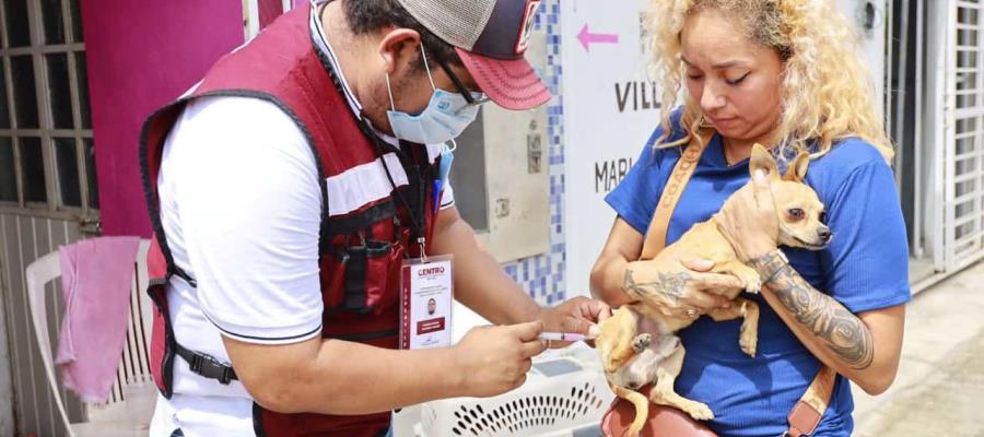 Concluye hoy campaña de vacunación antirrábica en Centro