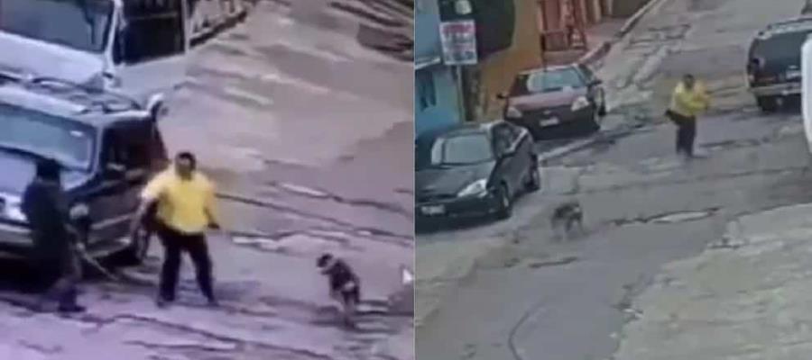 Captan agresión a machetazos contra perritos en Naucalpan, Edomex ¡ya están detenidos!