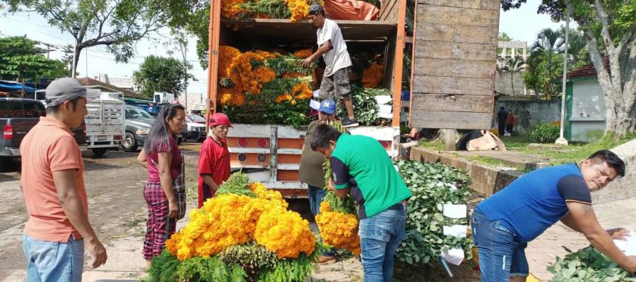 Garantiza Sader abasto de flores de temporada para altares y ofrendas de Día de Muertos Garantiza Sader abasto de flores de temporada para altares y ofrendas de Día de Muertos