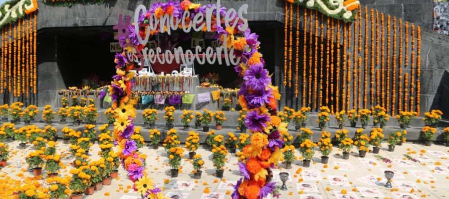 Montan ofrendas en honor a defensores de derechos humanos y periodistas