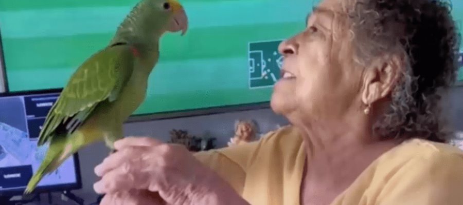 Regalan loro a abuelita; jugaba con uno de mentira para no sentirse sola