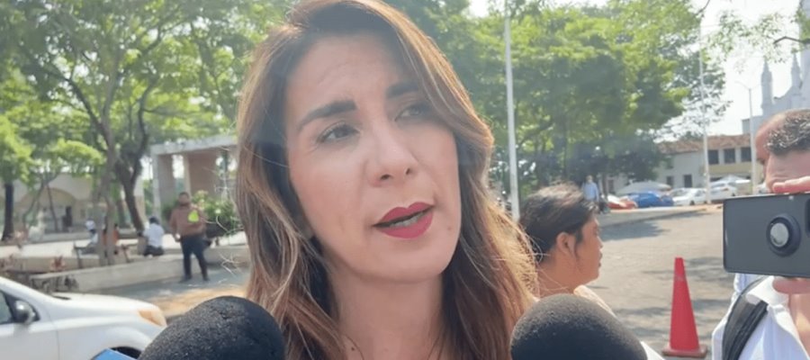 Pese a ser ilegal, 15 Ayuntamientos contemplaron cobro de licencias de funcionamiento, acusa diputada