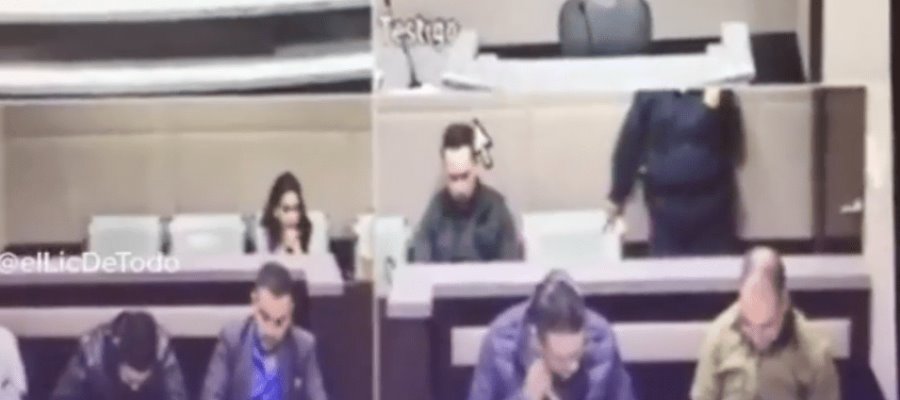 ¡Sí, ocurrió en México! Piden que perrito declare en juicio