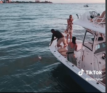 Hombre pide matrimonio a su novia en yate; y se le cae el anillo al mar