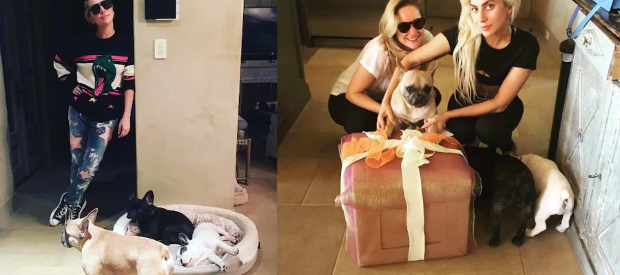 Sentencian a 21 años de prisión a uno de los atacantes del paseador de perros de Lady Gaga