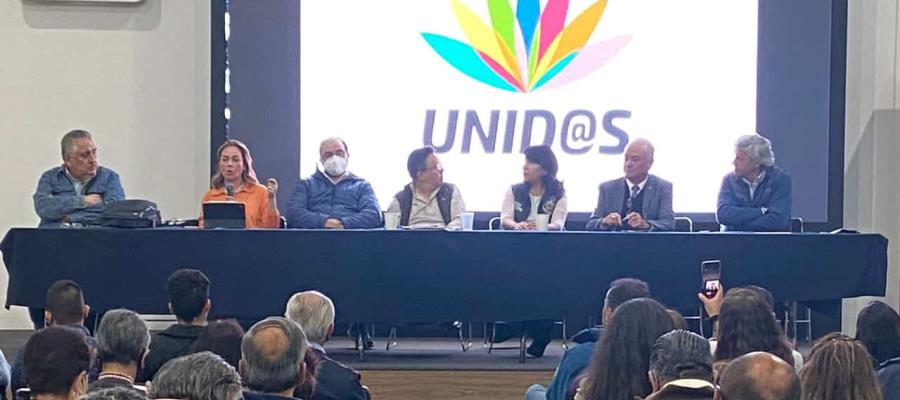 Convocan a manifestación en el Senado contra “Plan B” de AMLO para el 13 de diciembre