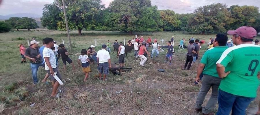 Tras volcadura, rapiñan tráiler con ganado en Chiapas