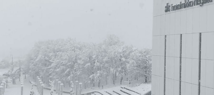 Nevadas en Japón dejan al menos 17 muertos