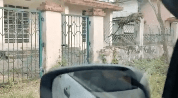 imagen-recuadro imagen-recuadro