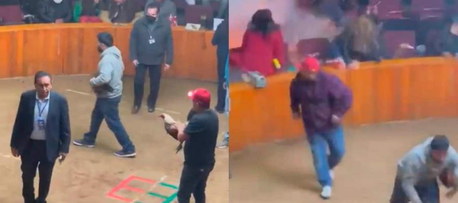 Explota granada en palenque de Hidalgo Explota granada en palenque de Hidalgo