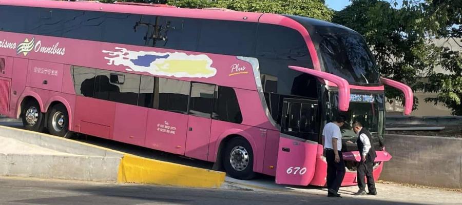 SOTOP no realizó estudios en nueva rampa de Ruiz Cortines: Colegio de Ingenieros