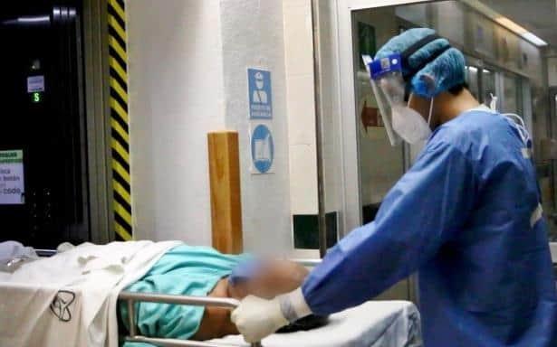 Detectan rabia humana en joven mordida por su gato en Nayarit Detectan rabia humana en joven mordida por su gato en Nayarit