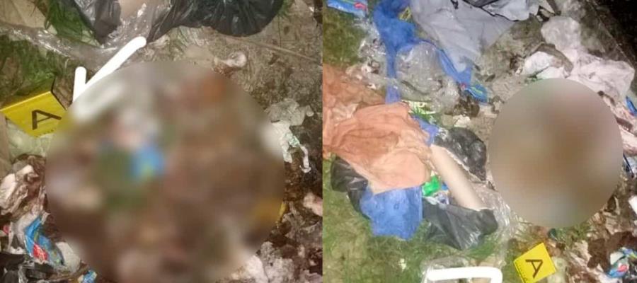 Localizan vísceras humanas en predio de Villa Aldama, Comalcalco