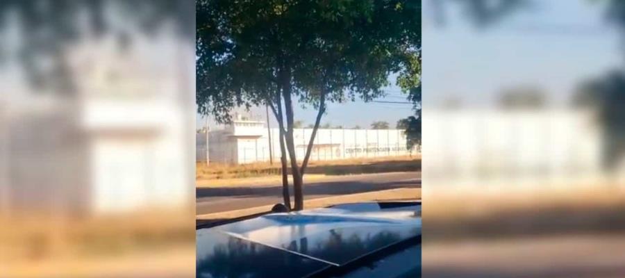 Hubo conato de fuga en penal de Culiacán: SSP de Sinaloa