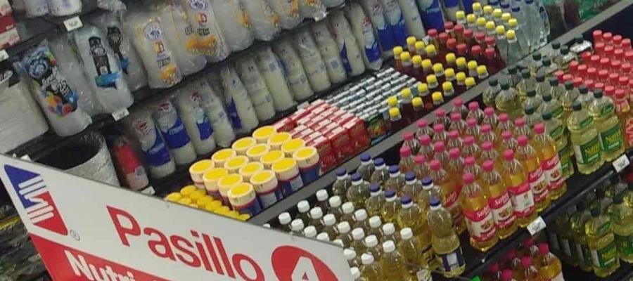 Que busquen otras alternativas, pide PVEM a Súper Sánchez, tras amparo contra Ley Antiplásticos