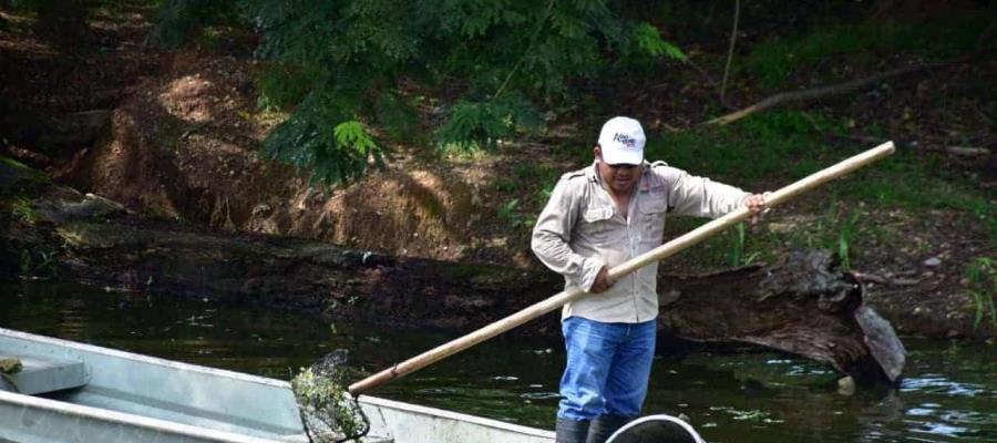 Considera PVEM insuficiente los recursos para rescate de la laguna Las Ilusiones