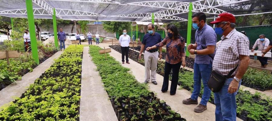 Habilita Centro vivero municipal ‘La Pólvora’, puede producir 5 mil plantas y árboles