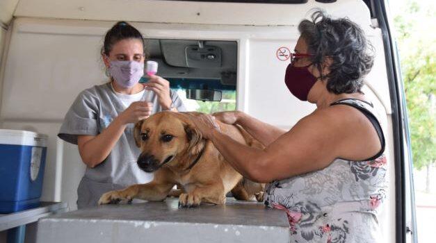 Intensifica Salud Tabasco vigilancia por rabia en Nayarit y Oaxaca