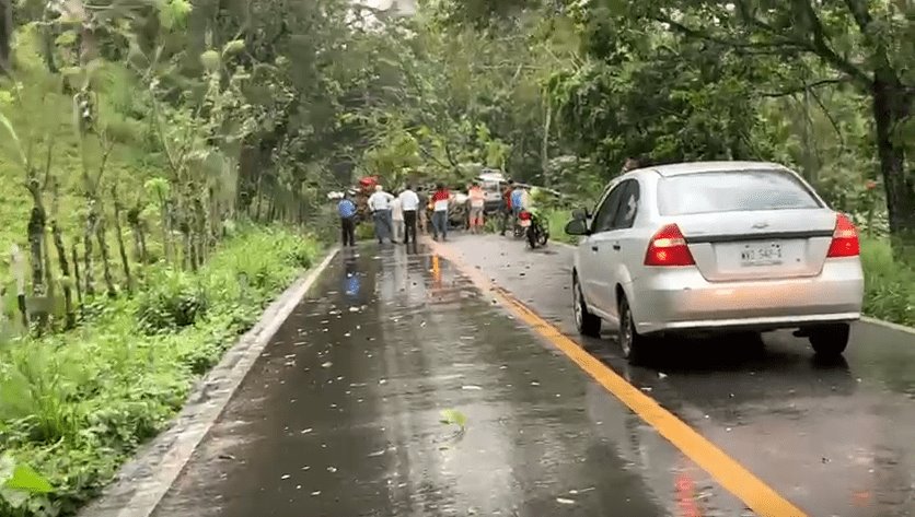 Lluvias dejan incomunicada la Teapa-Pichucalco por caída de un árbol 