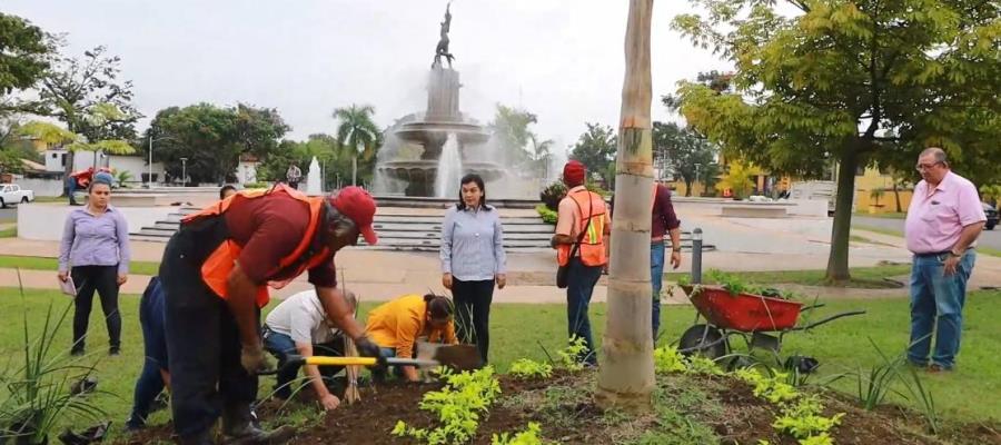 Arranca Centro reforestación de espacios públicos con plantas del vivero La Pólvora
