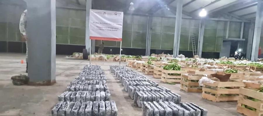 ¡Otra vez! Encuentran más de 250 kilos de cocaína escondidos en plátanos en Chiapas
