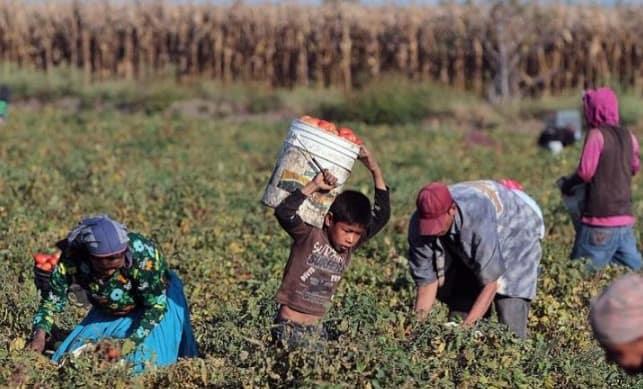 Prohíbe México importación de mercancías producidas con trabajo forzoso