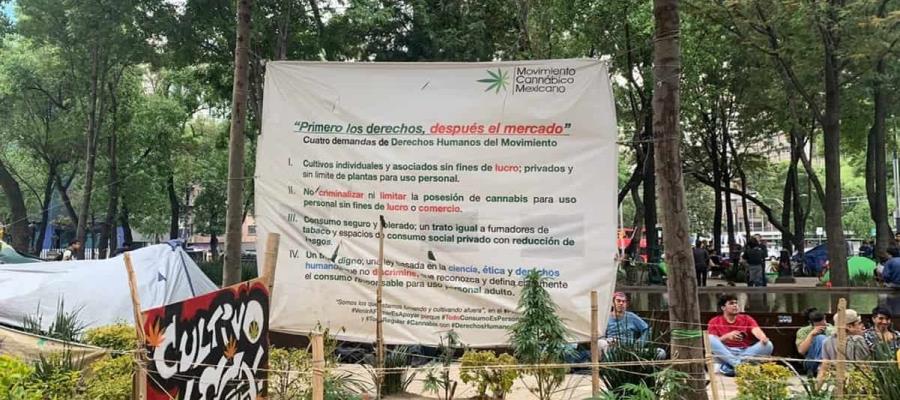 Luego de 3 años, policías de CDMX retiran plantón cannábico situado afuera del Senado