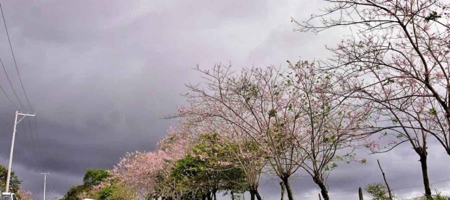 Continuará potencial de lluvias nocturnas en Tabasco: Conagua Continuará potencial de lluvias nocturnas en Tabasco: Conagua