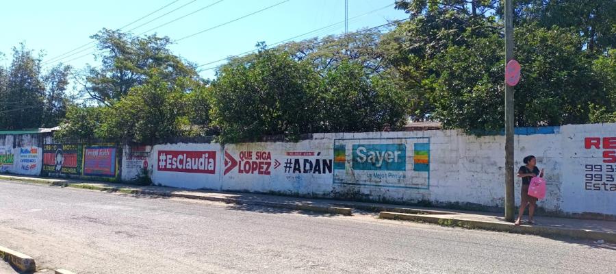 Rechaza Cobatab haber autorizado pintas con propaganda política en Plantel 30